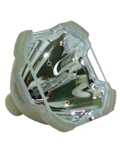 OB0145_1.jpg
