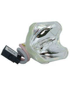 Bulbo di Ricambio Originale Phoenix (SHP) (#OB0257)