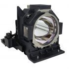 Lampada Compatibile 003-004774-01 / DT01585, 456-9005, DT01581 (#GM0455)