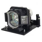 Lampada PrimeLamp 456-8931WA, 456-8928A, 456-8527, DT01433, DT01431, DT01481, DT01511, DT01571, DT02051, DT01435 (#GM0498)
