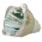 Bulbo di Ricambio Originale Philips (UHP) (#OB0228)