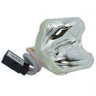 Bulbo di Ricambio Originale Phoenix (SHP) (#OB0257)