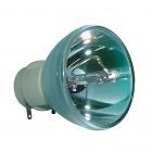 Bulbo di Ricambio Originale Osram (P-VIP) (#OB0345)