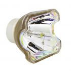Bulbo di Ricambio Originale Ushio (NSHA) (#OB0423)