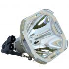 Bulbo di Ricambio Originale Phoenix (SHP) (#OB0026)