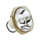Bulbo di Ricambio Originale Ushio (NSHA) (#OB0254)